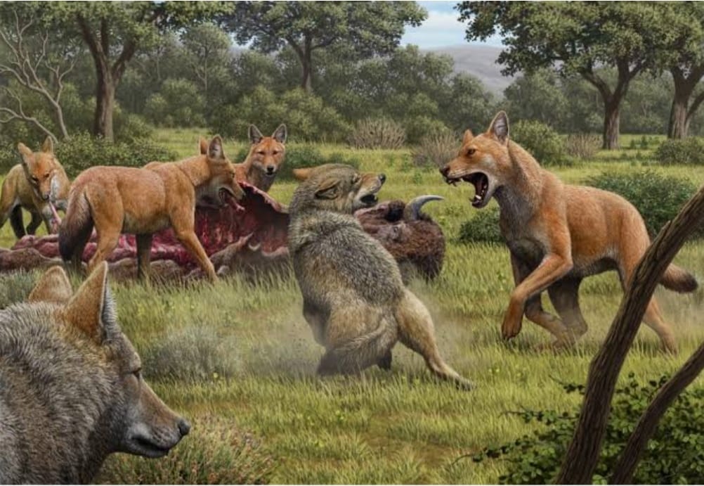 Future of De-Extinction: Hope or Hype?