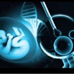 AI-IVF Breakthrough: World's First AI-IVF Baby Born in Mexico – A New Era in Reproductive Technology