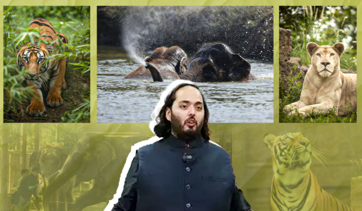 Anant Ambani Passion for Animal Welfare