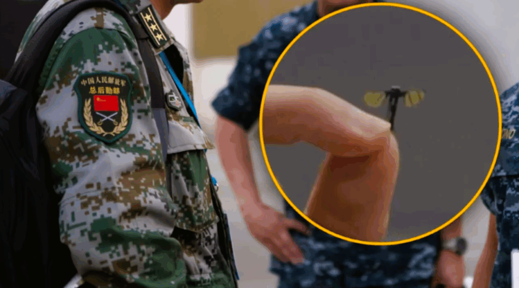 Diagram showing use of mosquito drone in stealth military mission
