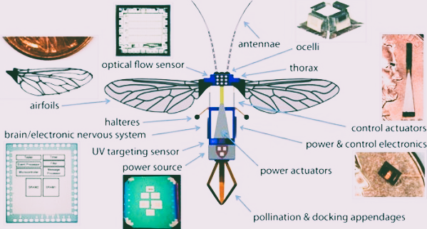 Illustration showing privacy risks from mosquito-sized spy drones