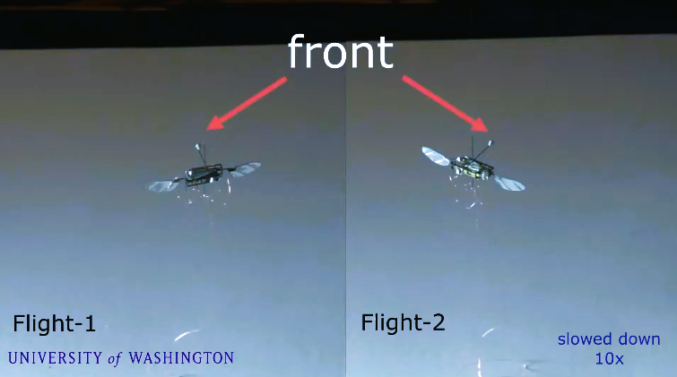 Close-up of China’s mosquito-sized surveillance drone